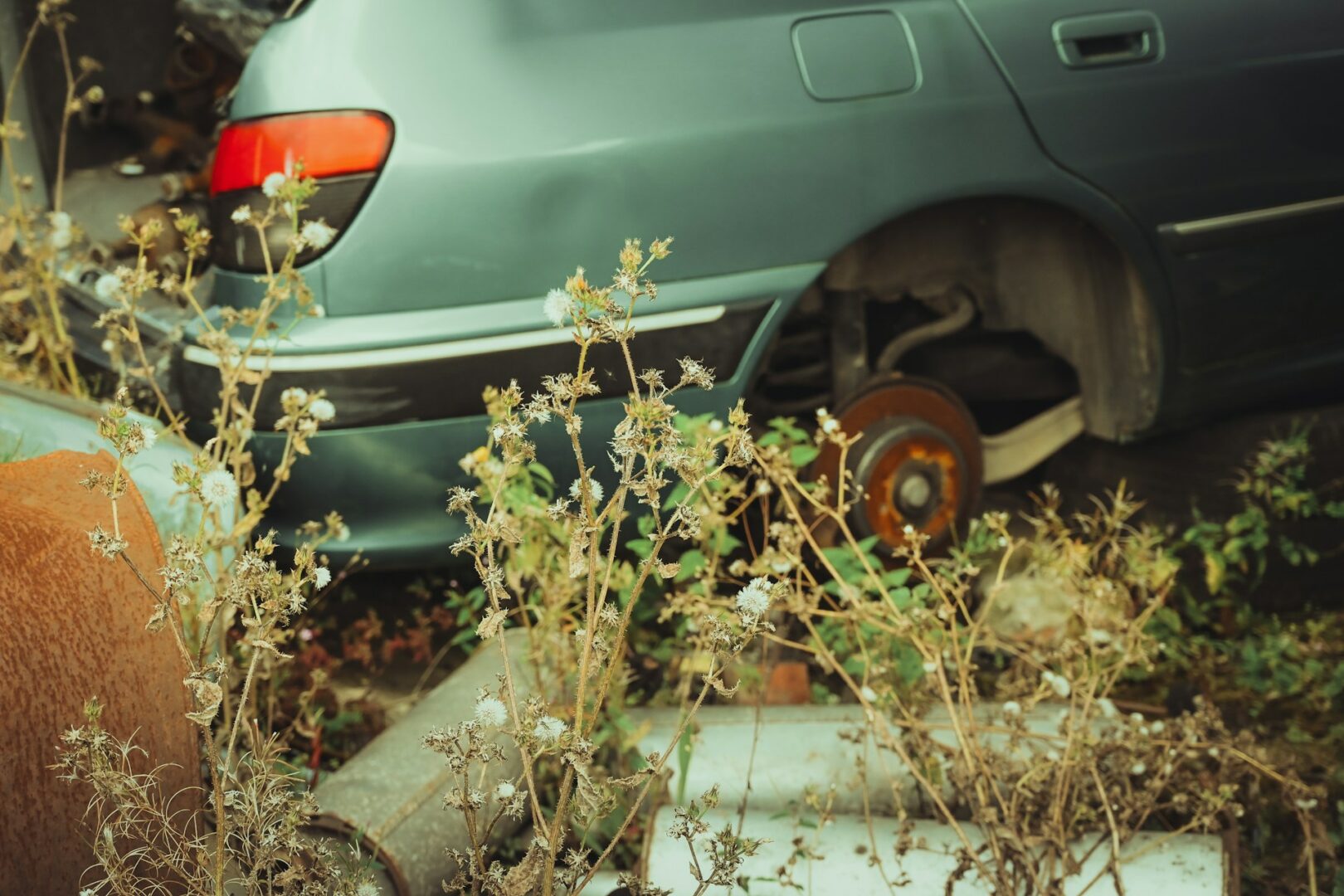 voiture dans l'herbe